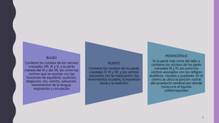 9
BULBO
Contiene los núcleos de los nervios
craneales VIII, IX y X, y la parte
craneal del XI y del XII, así como los
centros que se asocian con las
funciones de equilibrio, audición,
deglución, tos, vómito, salivación,
movimientos de la lengua,
respiración y circulación
PUENTE
Contiene los núcleos de los pares
craneales V, VI y VII, y los centros
asociados con la masticación, los
movimientos oculares, la expresión
facial y la audición
MESENCÉFALO
Es la parte más corta del tallo y
contiene los núcleos de los pares
craneales III y IV, así como los
centros asociados con los reflejos
auditivos, visuales y pupilares. En el
centro se ubica la porción rostral
del acueducto cerebral por donde
transcurre el líquido
cefalorraquídeo
 