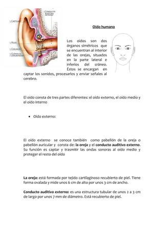Oído humano
Los oídos son dos
órganos simétricos que
se encuentran al interior
de las orejas, situados
en la parte lateral e
inferíos del cráneo.
Éstos se encargan en
captar los sonidos, procesarlos y enviar señales al
cerebro.

El oído consta de tres partes diferentes: el oído externo, el oído medio y
el oído interno
• Oído externo:

El oído externo se conoce también como pabellón de la oreja o
pabellón auricular y consta de: la oreja y el conducto auditivo externo.
Su función es captar y trasmitir las ondas sonoras al oído medio y
proteger el resto del oído

La oreja: está formada por tejido cartilaginoso recubierto de piel. Tiene
forma ovalada y mide unos 6 cm de alto por unos 3 cm de ancho.
Conducto auditivo externo: es una estructura tubular de unos 2 a 3 cm
de largo por unos 7 mm de diámetro. Está recubierto de piel.

 