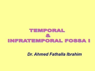 Dr. Ahmed Fathalla Ibrahim
 