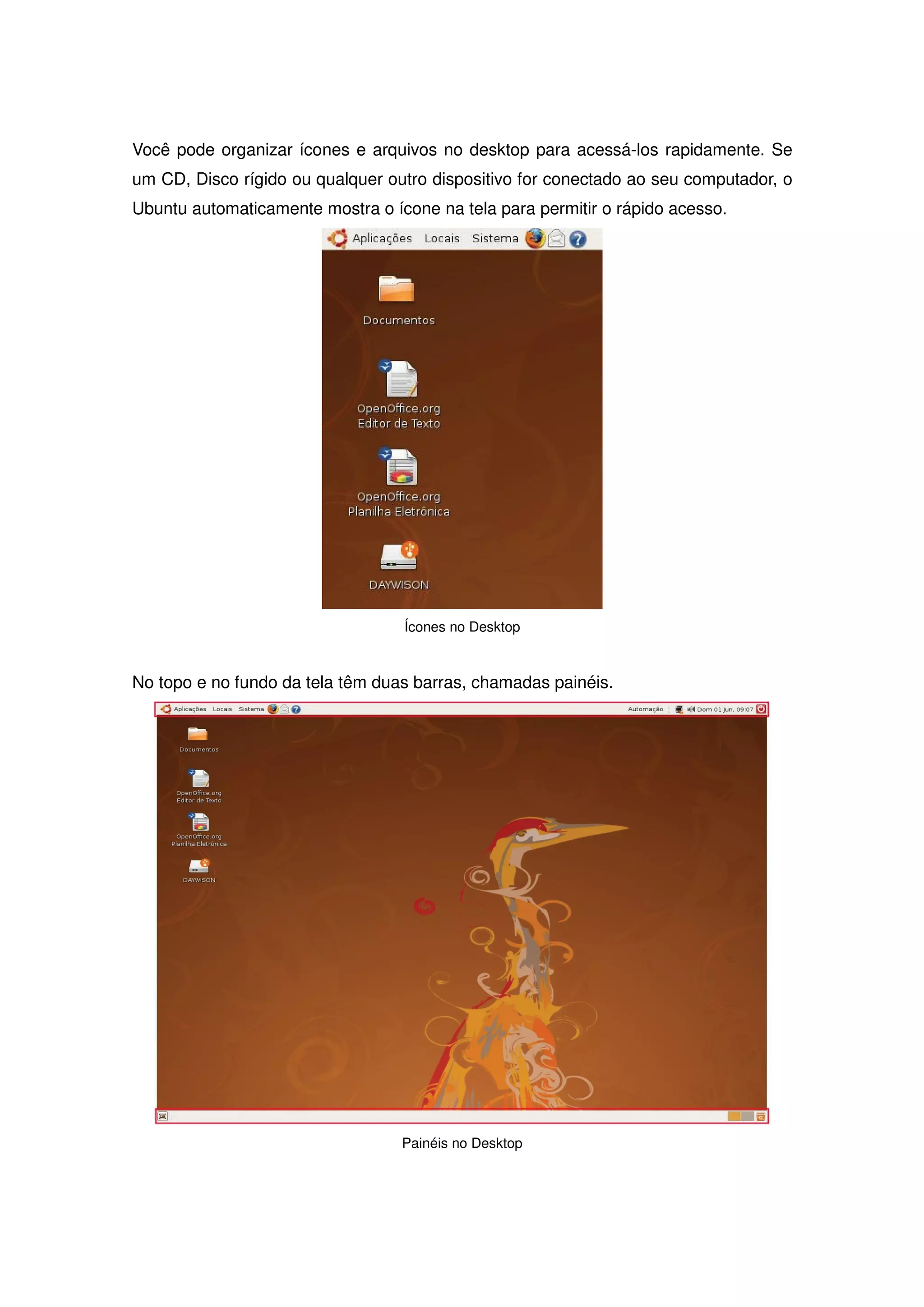 Você pode organizar ícones e arquivos no desktop para acessá-los rapidamente. Se
um CD, Disco rígido ou qualquer outro dispositivo for conectado ao seu computador, o
Ubuntu automaticamente mostra o ícone na tela para permitir o rápido acesso.




                                  Ícones no Desktop



No topo e no fundo da tela têm duas barras, chamadas painéis.




                                  Painéis no Desktop
 