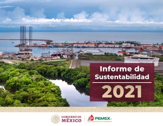 2021
Informe de
Sustentabilidad
 