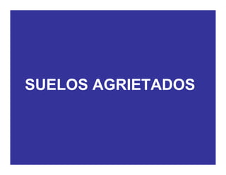 SUELOS AGRIETADOS
 