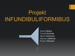 Projekt
INFUNDIBULIFORMIBUS
          Marek Botha
          Tomáš Kořínek
          Marie Kozmová
          Martina Uhlířová
          Robert Wünsch
 