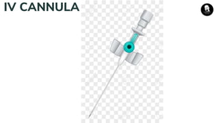 IV CANNULA
 