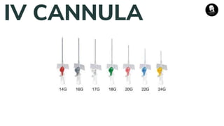 IV CANNULA
 