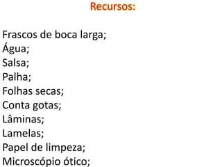 Recursos:

Frascos de boca larga;
Água;
Salsa;
Palha;
Folhas secas;
Conta gotas;
Lâminas;
Lamelas;
Papel de limpeza;
Microscópio ótico;
 