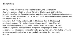 Ciliate Culture
Initially, several ciliates were considered for culture, and Fabrea salina
showed to be more reliable in culture than Strombilidium sp. and Strombidium
sp and is, therefore, the focus of this paper. Algae (Isochrysis and Rhodomonas ) provided as
food was cultured with Gulliard’s F/2 in the laboratory. All of the experiments were carried
out for seven days in 2 L
Erlenmeyer flask initially containing 1 L of chlorinated then dechlorinated, 1
μm filtered seawater (32 - 34 ‰). the normal range was 25 - 30°C. The trials
were conducted under continuous light ranging from 1,240 to 1,680 lux. Daily
counts for organisms were performed in triplicate using Sedgwick-Rafter slides
on a compound microscope; Samples for water quality measurements including ammonia,
temperature, salinity, dissolved oxygen, and pH were taken daily from each
replicate.

 