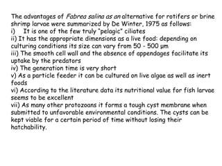 The advantages of Fabrea salina as an alternative for rotifers or brine
shrimp larvae were summarized by De Winter, 1975 as follows:
i) It is one of the few truly “pelagic” ciliates
ii) It has the appropriate dimensions as a live food: depending on
culturing conditions its size can vary from 50 - 500 μm
iii) The smooth cell wall and the absence of appendages facilitate its
uptake by the predators
iv) The generation time is very short
v) As a particle feeder it can be cultured on live algae as well as inert
foods
vi) According to the literature data its nutritional value for fish larvae
seems to be excellent
vii) As many other protozoans it forms a tough cyst membrane when
submitted to unfavorable environmental conditions. The cysts can be
kept viable for a certain period of time without losing their
hatchability.

 