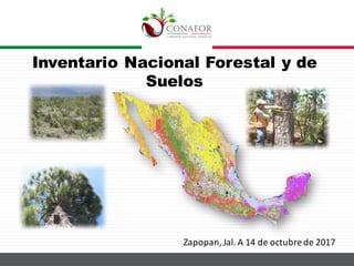Inventario Nacional Forestal y de
Suelos
Zapopan,	Jal.	A	14	de	octubre	de	2017
 