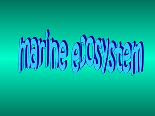 marine ecosystem  