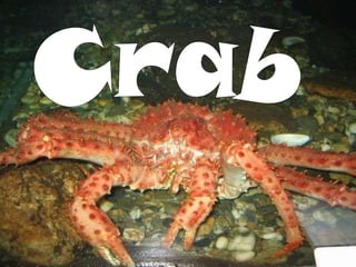 Crab 