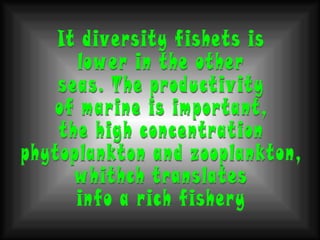 It diversity fishets is  lower in the other  seas. The productivity of marine is important, the high concentration phytoplankton and zooplankton, whithch translates info a rich fishery 