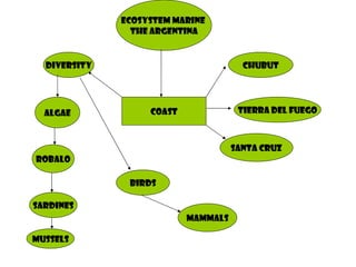 Ecosystem marine  the Argentina Coast Chubut Tierra del fuego Santa cruz Diversity Algae robalo sardines mussels birds mammals 