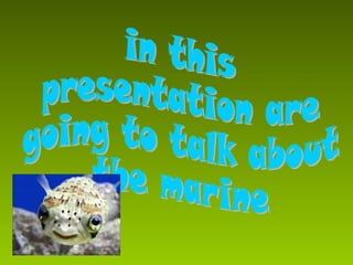 in this  presentation are  going to talk about  the marine  