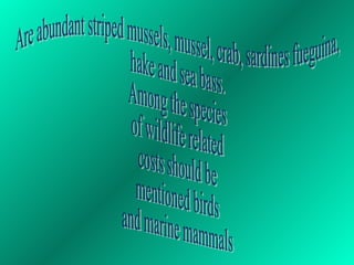 Are abundant striped mussels, mussel, crab, sardines fueguina,  hake and sea bass. Among the species of wildlife related costs should be  mentioned birds and marine mammals 