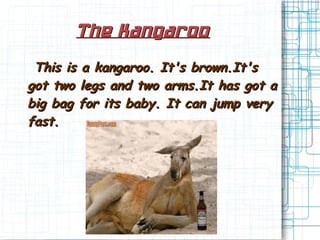 The KangarooThe Kangaroo
This is a kangaroo. It's brown.It'sThis is a kangaroo. It's brown.It's
got two legs and two arms.It has got agot two legs and two arms.It has got a
big bag for its baby. It can jump verybig bag for its baby. It can jump very
fast.fast.
 