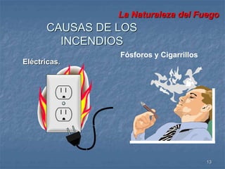 La Naturaleza del Fuego 
13 
CAUSAS DE LOS 
Eléctricas. 
INCENDIOS 
Fósforos y Cigarrillos 
 