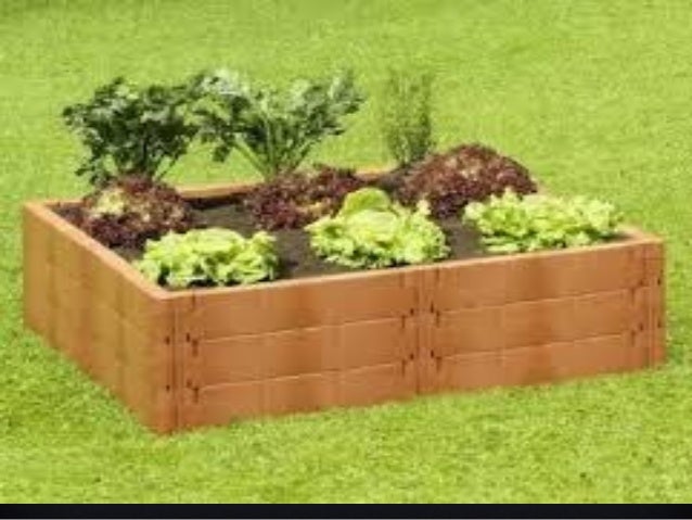 What Classifies Organic Food What Classifies Organic Food