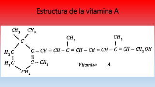 Estructura de la vitamina A
 