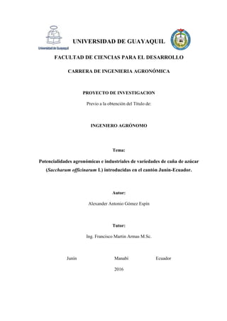 UNIVERSIDAD DE GUAYAQUIL
FACULTAD DE CIENCIAS PARA EL DESARROLLO
CARRERA DE INGENIERIA AGRONÓMICA
PROYECTO DE INVESTIGACION
Previo a la obtención del Título de:
INGENIERO AGRÓNOMO
Tema:
Potencialidades agronómicas e industriales de variedades de caña de azúcar
(Saccharum officinarum L) introducidas en el cantón Junín-Ecuador.
Autor:
Alexander Antonio Gómez Espín
Tutor:
Ing. Francisco Martin Armas M.Sc.
Junín Manabí Ecuador
2016
 