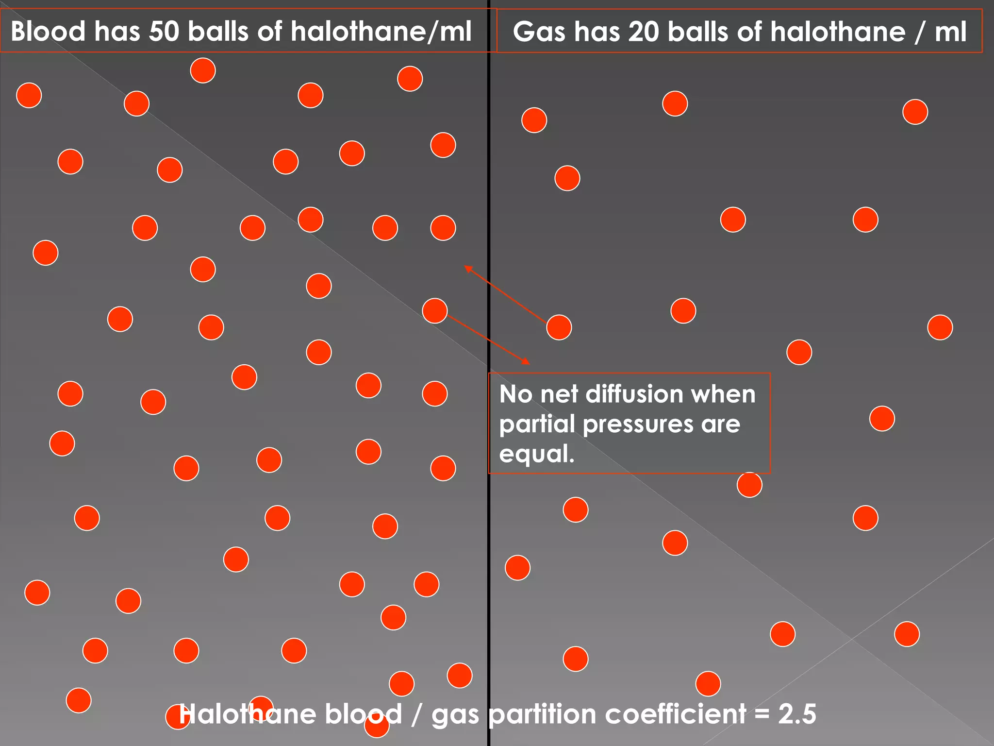 Blood has 50 balls of halothane/ml Gas has 20 balls of halothane / ml
Halothane blood / gas partition coefficient = 2.5
No net diffusion when
partial pressures are
equal.
 