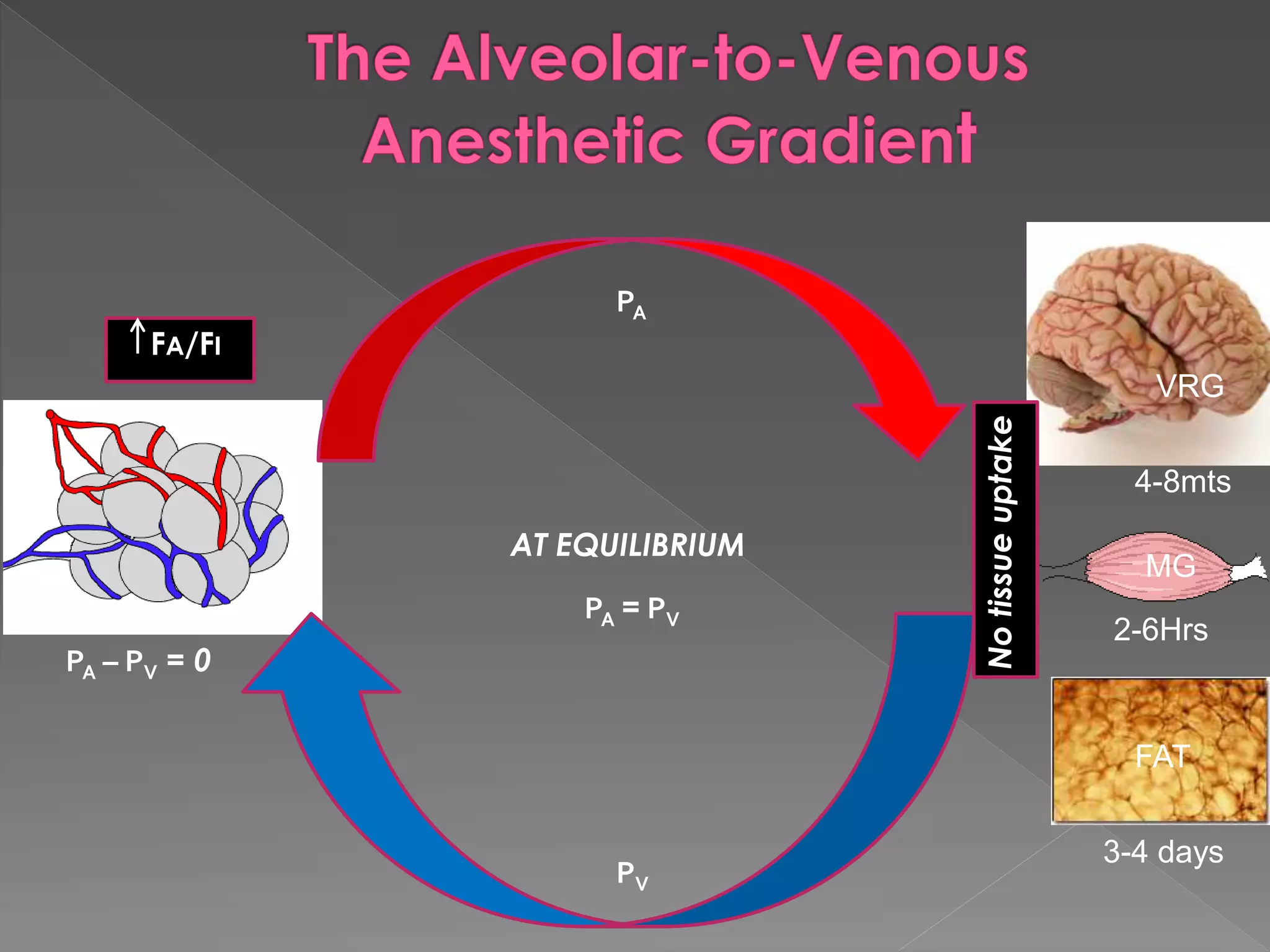 AT EQUILIBRIUM
Notissueuptake
PA
PV
PA – PV = 0
PA = PV
FA/FI
FAT
VRG
MG
4-8mts
2-6Hrs
3-4 days
 