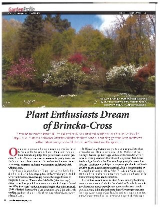Plant Enthusiasts Should Visit Brincka-Cross