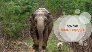 ССЫЛКИ
ВЧЕРА И СЕГОДНЯ
 