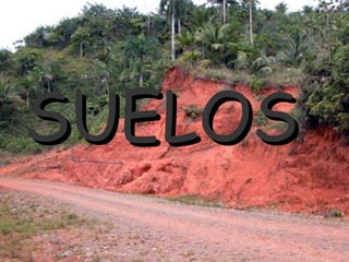 SUELOS
 