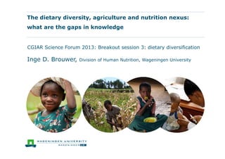 The dietary diversity, agriculture and nutrition nexus:
what are the gaps in knowledge
CGIAR Science Forum 2013: Breakout session 3: dietary diversification
Inge D. Brouwer, Division of Human Nutrition, Wageningen University
 