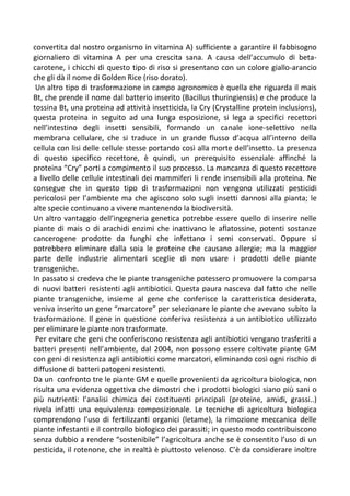 convertita dal nostro organismo in vitamina A) sufficiente a garantire il fabbisogno
giornaliero di vitamina A per una crescita sana. A causa dell’accumulo di beta-
carotene, i chicchi di questo tipo di riso si presentano con un colore giallo-arancio
che gli dà il nome di Golden Rice (riso dorato).
Un altro tipo di trasformazione in campo agronomico è quella che riguarda il mais
Bt, che prende il nome dal batterio inserito (Bacillus thuringiensis) e che produce la
tossina Bt, una proteina ad attività insetticida, la Cry (Crystalline protein inclusions),
questa proteina in seguito ad una lunga esposizione, si lega a specifici recettori
nell’intestino degli insetti sensibili, formando un canale ione-selettivo nella
membrana cellulare, che si traduce in un grande flusso d’acqua all’interno della
cellula con lisi delle cellule stesse portando così alla morte dell’insetto. La presenza
di questo specifico recettore, è quindi, un prerequisito essenziale affinché la
proteina “Cry” porti a compimento il suo processo. La mancanza di questo recettore
a livello delle cellule intestinali dei mammiferi li rende insensibili alla proteina. Ne
consegue che in questo tipo di trasformazioni non vengono utilizzati pesticidi
pericolosi per l’ambiente ma che agiscono solo sugli insetti dannosi alla pianta; le
alte specie continuano a vivere mantenendo la biodiversità.
Un altro vantaggio dell’ingegneria genetica potrebbe essere quello di inserire nelle
piante di mais o di arachidi enzimi che inattivano le aflatossine, potenti sostanze
cancerogene prodotte da funghi che infettano i semi conservati. Oppure si
potrebbero eliminare dalla soia le proteine che causano allergie; ma la maggior
parte delle industrie alimentari sceglie di non usare i prodotti delle piante
transgeniche.
In passato si credeva che le piante transgeniche potessero promuovere la comparsa
di nuovi batteri resistenti agli antibiotici. Questa paura nasceva dal fatto che nelle
piante transgeniche, insieme al gene che conferisce la caratteristica desiderata,
veniva inserito un gene “marcatore” per selezionare le piante che avevano subito la
trasformazione. Il gene in questione conferiva resistenza a un antibiotico utilizzato
per eliminare le piante non trasformate.
Per evitare che geni che conferiscono resistenza agli antibiotici vengano trasferiti a
batteri presenti nell’ambiente, dal 2004, non possono essere coltivate piante GM
con geni di resistenza agli antibiotici come marcatori, eliminando così ogni rischio di
diffusione di batteri patogeni resistenti.
Da un confronto tre le piante GM e quelle provenienti da agricoltura biologica, non
risulta una evidenza oggettiva che dimostri che i prodotti biologici siano più sani o
più nutrienti: l’analisi chimica dei costituenti principali (proteine, amidi, grassi..)
rivela infatti una equivalenza composizionale. Le tecniche di agricoltura biologica
comprendono l’uso di fertilizzanti organici (letame), la rimozione meccanica delle
piante infestanti e il controllo biologico dei parassiti; in questo modo contribuiscono
senza dubbio a rendere “sostenibile” l’agricoltura anche se è consentito l’uso di un
pesticida, il rotenone, che in realtà è piuttosto velenoso. C’è da considerare inoltre
 