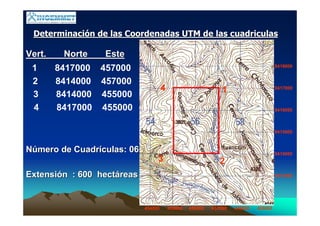 DeterminaciDeterminacióón de las Coordenadas UTM de las cuadriculasn de las Coordenadas UTM de las cuadriculas
Vert. Norte EsteVert. Norte Este
8418000
8417000
8416000
8415000
8414000
8413000
454000 455000 456000 457000 458000 459000
1 8417000 457000
1
2
2 8414000 457000
3
3 8414000 455000
4
4 8417000 455000
NNúúmero de Cuadrmero de Cuadríículas: 06culas: 06
ExtensiExtensióón : 600 hectn : 600 hectááreasreas
 