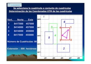 Se selecciona la cuadricula o conjunto de cuadriculasSe selecciona la cuadricula o conjunto de cuadriculas
DeterminaciDeterminacióón de las Coordenadas UTM de las cuadriculasn de las Coordenadas UTM de las cuadriculas
Vert. Norte EsteVert. Norte Este
1 8417000 457000
2 8414000 457000
3 8414000 455000
4 8417000 455000
NNúúmero de Cuadriculas: 06mero de Cuadriculas: 06
ExtensiExtensióón : 600 hectn : 600 hectááreasreas
1
23
4
 