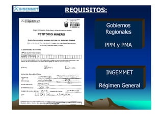 REQUISITOS:
Gobiernos
Regionales
PPM y PMA
INGEMMET
Régimen General
 
