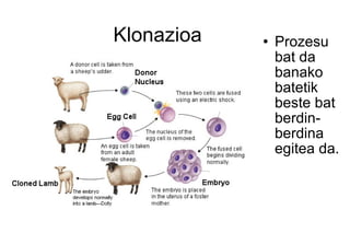 Klonazioa Prozesu bat da banako batetik beste bat berdin-berdina egitea da. 