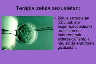 Terapia zelula sexualetan: Zelula sexualetan (obuluak eta espermatozoideak) erabiltzen da ondorengoak aldatzeko.Terapia hau ez da erabiltzen gizakietan. 