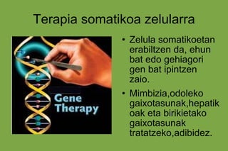 Terapia somatikoa zelularra Zelula somatikoetan erabiltzen da, ehun bat edo gehiagori gen bat ipintzen zaio. Mimbizia,odoleko gaixotasunak,hepatikoak eta birikietako gaixotasunak tratatzeko,adibidez. 