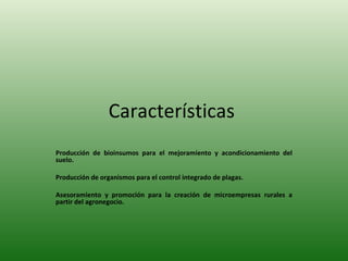 Características  Producción de bioinsumos para el mejoramiento y acondicionamiento del suelo. Producción de organismos para el control integrado de plagas. Asesoramiento y promoción para la creación de microempresas rurales a partir del agronegocio. 