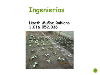 Ingenierías
Lizeth Muñoz Rubiano
1.016.052.036
 