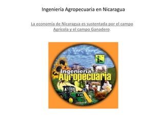 Ingeniería Agropecuaria en Nicaragua
La economía de Nicaragua es sustentada por el campo
Agrícola y el campo Ganadero.
 