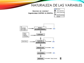 NATURALEZA DE LAS VARIABLES
 