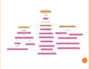 Ingeniería económica