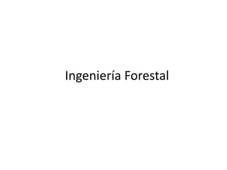 Ingeniería Forestal 
 
