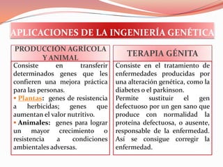 APLICACIONES DE LA INGENIERÍA GENÉTICAPRODUCCIÓN AGRÍCOLA Y ANIMALConsiste en transferir determinados genes que les confieren una mejora práctica para las personas.Plantas:  genes de resistencia a herbicidas; genes que aumentan el valor nutritivo.