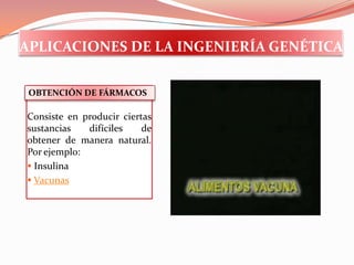 APLICACIONES DE LA INGENIERÍA GENÉTICAOBTENCIÓN DE FÁRMACOSConsiste en producir ciertas sustancias difíciles de obtener de manera natural. Por ejemplo: Insulina