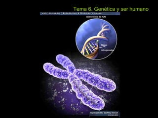 Tema 6. Genética y ser humano 