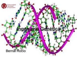 Ingeniería Genética Bernal Rocío 