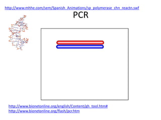 http://www.mhhe.com/sem/Spanish_Animations/sp_polymerase_chn_reactn.swf

PCR

http://www.bionetonline.org/english/Content/gh_tool.htm#
http://www.bionetonline.org/flash/pcr.htm

 