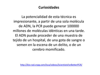 Curiosidades
La potencialidad de esta técnica es
impresionante, a partir de una sola molécula
de ADN, la PCR puede generar 100000
millones de moléculas idénticas en una tarde.
El ADN puede proceder de una muestra de
tejido de un hospital, de una gota de sangre o
semen en la escena de un delito, o de un
cerebro momificado.

http://bio-rad.cnpg.com/lsca/videos/ScientistsForBetterPCR/

 