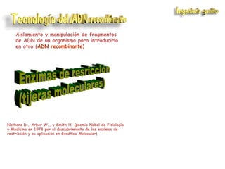Aislamiento y manipulación de fragmentos
de ADN de un organismo para introducirlo
en otro (ADN recombinante)

Nathans D., Arber W., y Smith H. (premio Nobel de Fisiología
y Medicina en 1978 por el descubrimiento de las enzimas de
restricción y su aplicación en Genética Molecular)

 